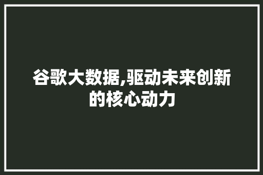 谷歌大数据,驱动未来创新的核心动力