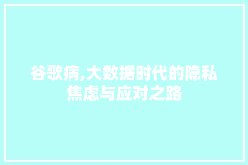 谷歌病,大数据时代的隐私焦虑与应对之路
