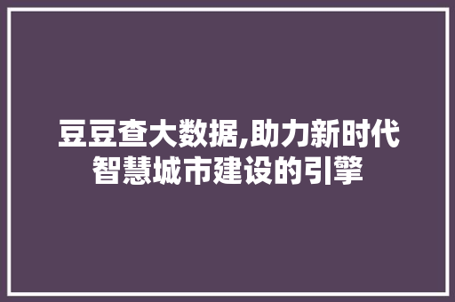 豆豆查大数据,助力新时代智慧城市建设的引擎