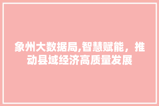 象州大数据局,智慧赋能，推动县域经济高质量发展