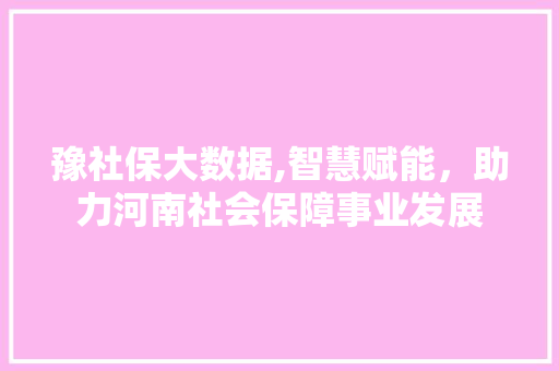 豫社保大数据,智慧赋能，助力河南社会保障事业发展
