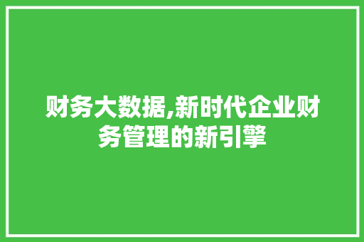财务大数据,新时代企业财务管理的新引擎