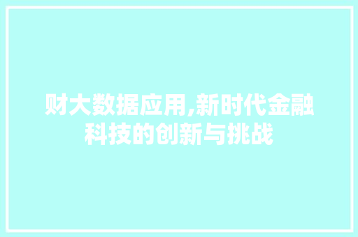 财大数据应用,新时代金融科技的创新与挑战
