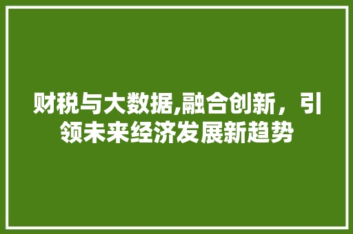财税与大数据,融合创新，引领未来经济发展新趋势