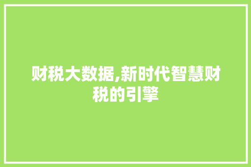 财税大数据,新时代智慧财税的引擎