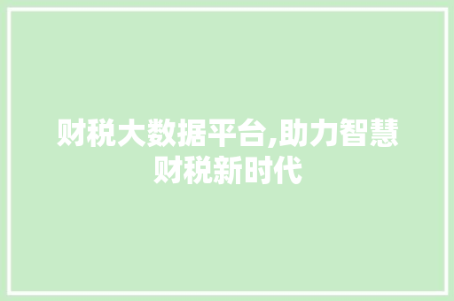 财税大数据平台,助力智慧财税新时代