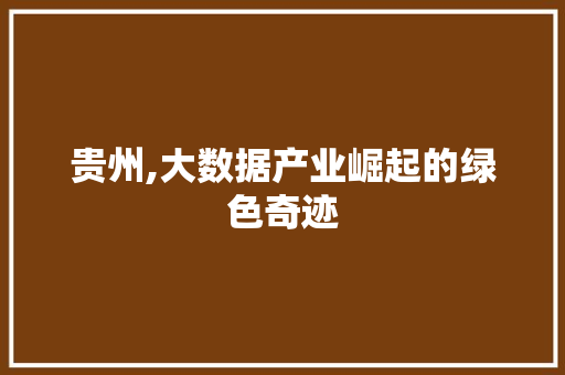 贵州,大数据产业崛起的绿色奇迹