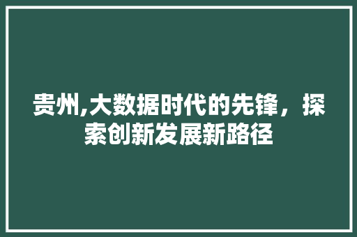 贵州,大数据时代的先锋，探索创新发展新路径
