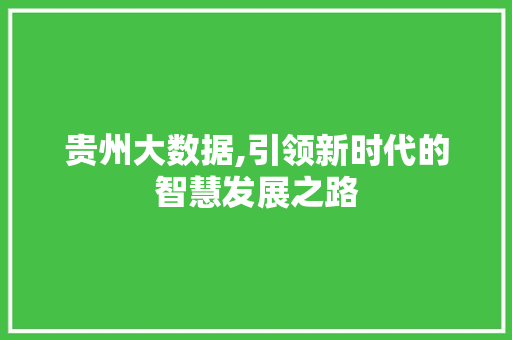 贵州大数据,引领新时代的智慧发展之路