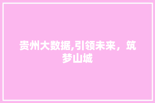 贵州大数据,引领未来，筑梦山城