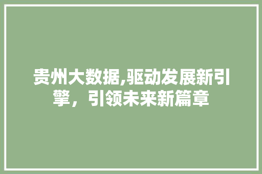 贵州大数据,驱动发展新引擎，引领未来新篇章