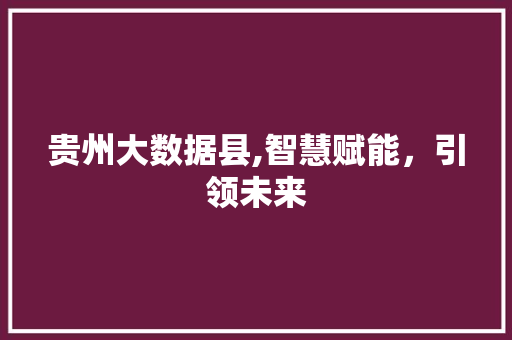 贵州大数据县,智慧赋能，引领未来 英文谷歌算法