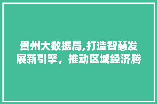 贵州大数据局,打造智慧发展新引擎，推动区域经济腾飞