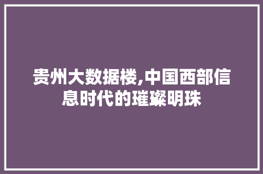 贵州大数据楼,中国西部信息时代的璀璨明珠