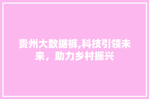 贵州大数据裤,科技引领未来，助力乡村振兴