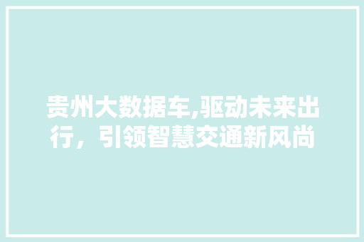 贵州大数据车,驱动未来出行，引领智慧交通新风尚