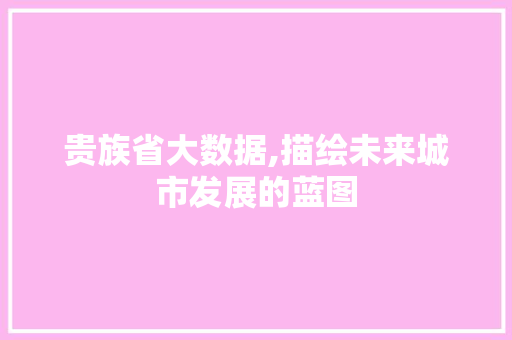 贵族省大数据,描绘未来城市发展的蓝图