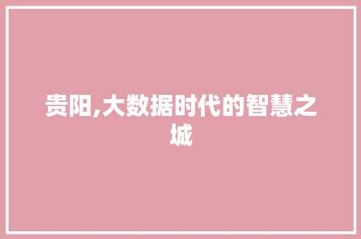 贵阳,大数据时代的智慧之城