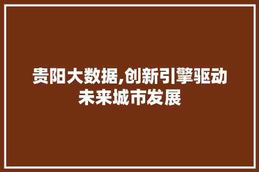 贵阳大数据,创新引擎驱动未来城市发展