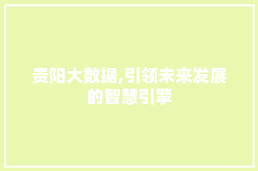 贵阳大数据,引领未来发展的智慧引擎