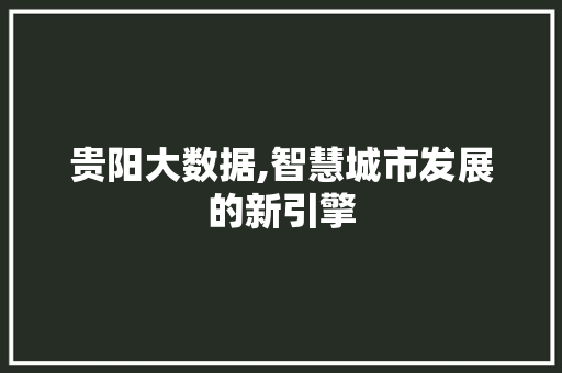 贵阳大数据,智慧城市发展的新引擎