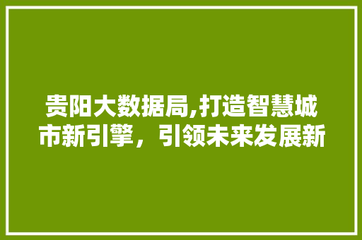 贵阳大数据局,打造智慧城市新引擎，引领未来发展新方向