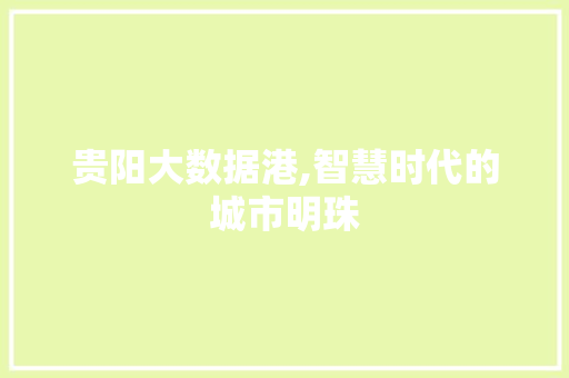 贵阳大数据港,智慧时代的城市明珠