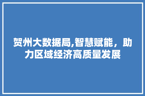 贺州大数据局,智慧赋能，助力区域经济高质量发展