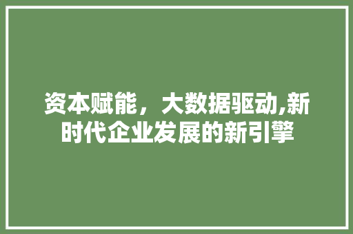 资本赋能，大数据驱动,新时代企业发展的新引擎