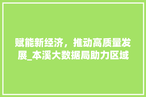 赋能新经济，推动高质量发展_本溪大数据局助力区域数字化转型