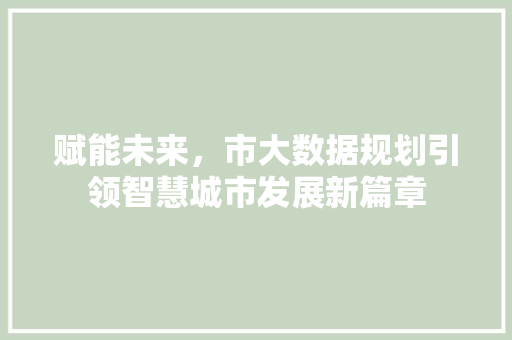 赋能未来，市大数据规划引领智慧城市发展新篇章