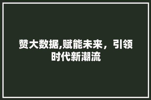 赞大数据,赋能未来，引领时代新潮流