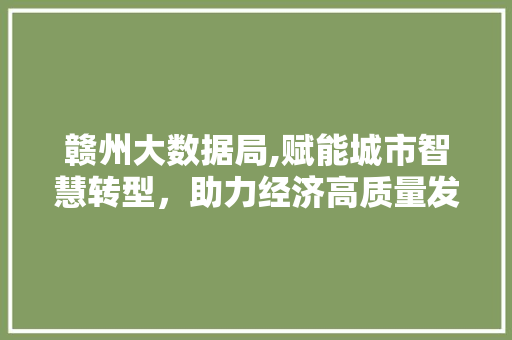 赣州大数据局,赋能城市智慧转型，助力经济高质量发展