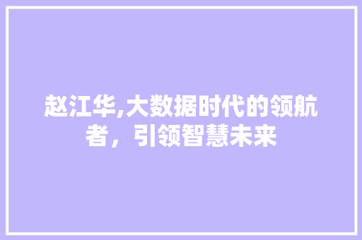 赵江华,大数据时代的领航者，引领智慧未来 小程序开发
