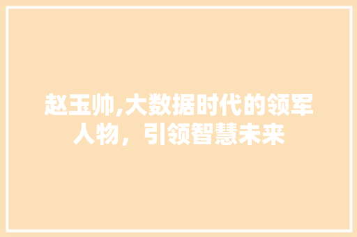 赵玉帅,大数据时代的领军人物，引领智慧未来