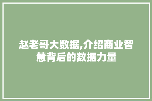 赵老哥大数据,介绍商业智慧背后的数据力量 网站开发