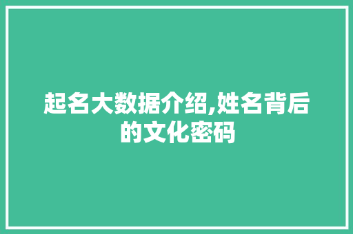 起名大数据介绍,姓名背后的文化密码 网站优化