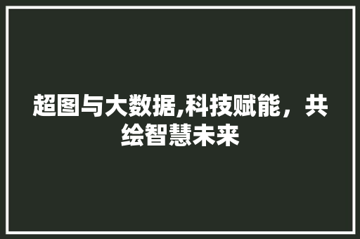 超图与大数据,科技赋能，共绘智慧未来 AI技术学习