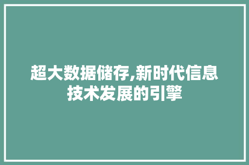 超大数据储存,新时代信息技术发展的引擎 AI技术学习