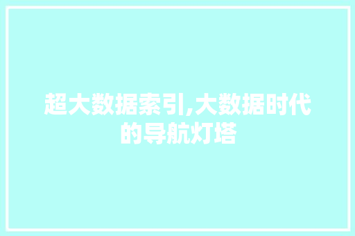 超大数据索引,大数据时代的导航灯塔