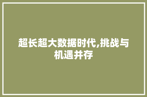 超长超大数据时代,挑战与机遇并存