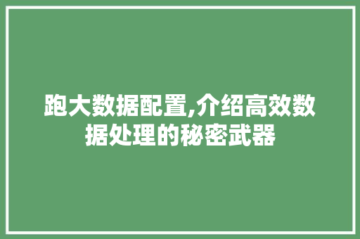 跑大数据配置,介绍高效数据处理的秘密武器