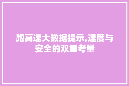 跑高速大数据提示,速度与安全的双重考量 头条优化