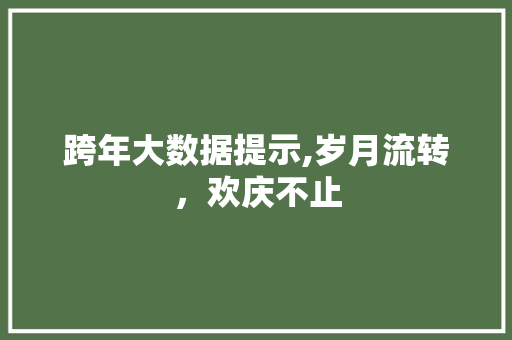 跨年大数据提示,岁月流转，欢庆不止 网站优化
