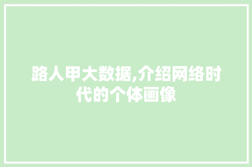 路人甲大数据,介绍网络时代的个体画像 英文谷歌算法