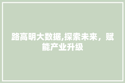 路高明大数据,探索未来，赋能产业升级