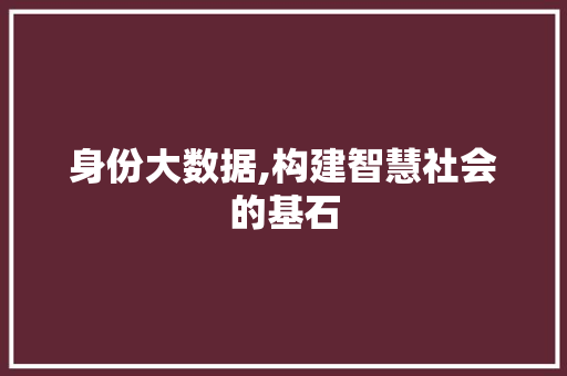 身份大数据,构建智慧社会的基石 seo技术