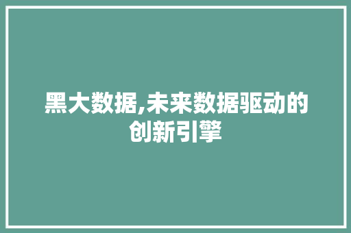 黑大数据,未来数据驱动的创新引擎
