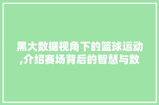 黑大数据视角下的篮球运动,介绍赛场背后的智慧与数据魅力