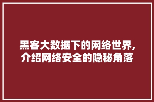 黑客大数据下的网络世界,介绍网络安全的隐秘角落 seo技术